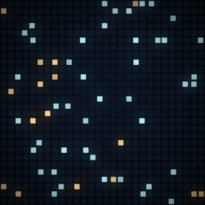 Cover VI - Not Source of Truth: grid of windows